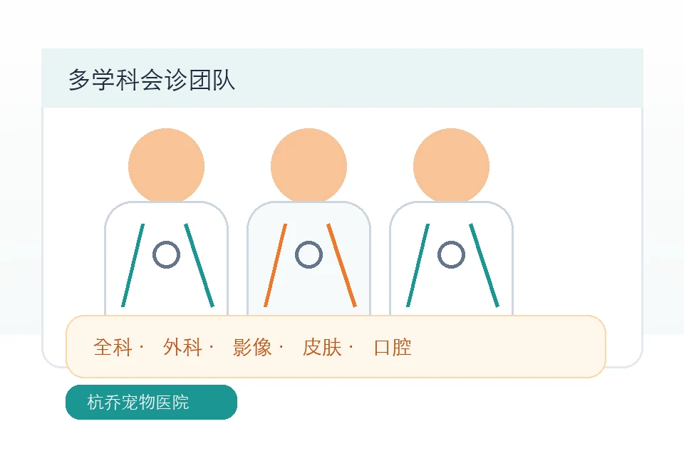 杭乔宠物医院多学科会诊团队插画